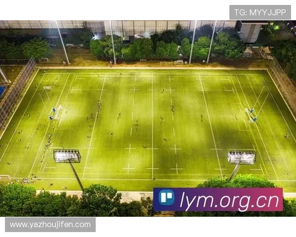 下一届世界杯赛事直播平台推荐,在线观看比赛的最佳选择与观看技巧