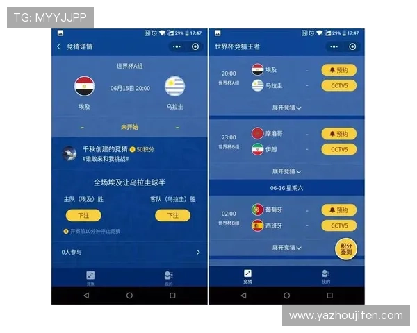 世界杯竞猜入口官网最新指南，详细介绍官方入口地址及安全保障措施